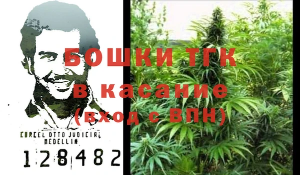 PSILOCYBIN Покачи