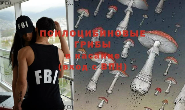 PSILOCYBIN Покачи